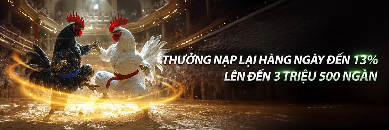 Sân đấu đá gà kịch tính tại pub88 nổ hũ