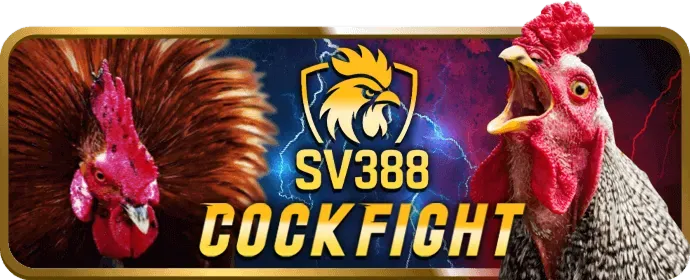 Tổng quan về công ty pub88 nổ hũ và các dịch vụ đa dạng